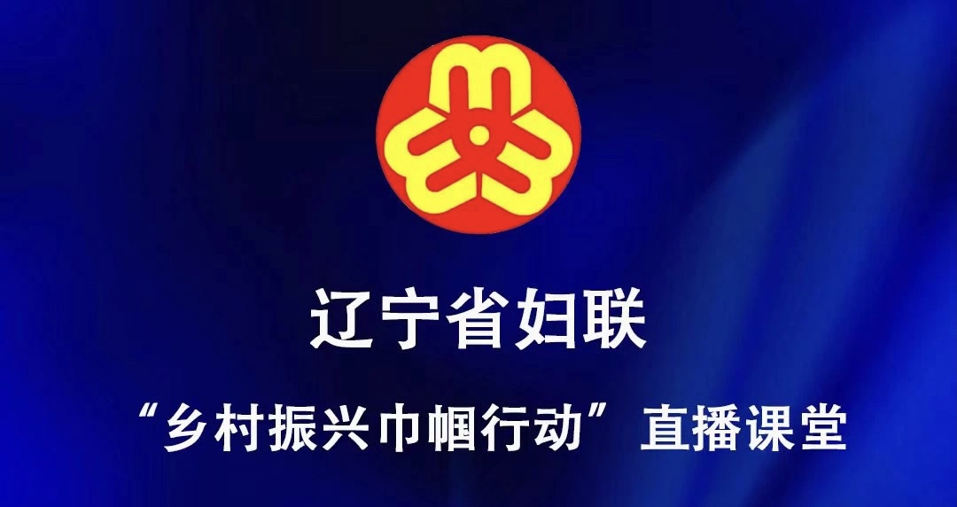 五级书记抓振兴_辽宁_正以腾飞之势书写乡村振兴壮丽篇章