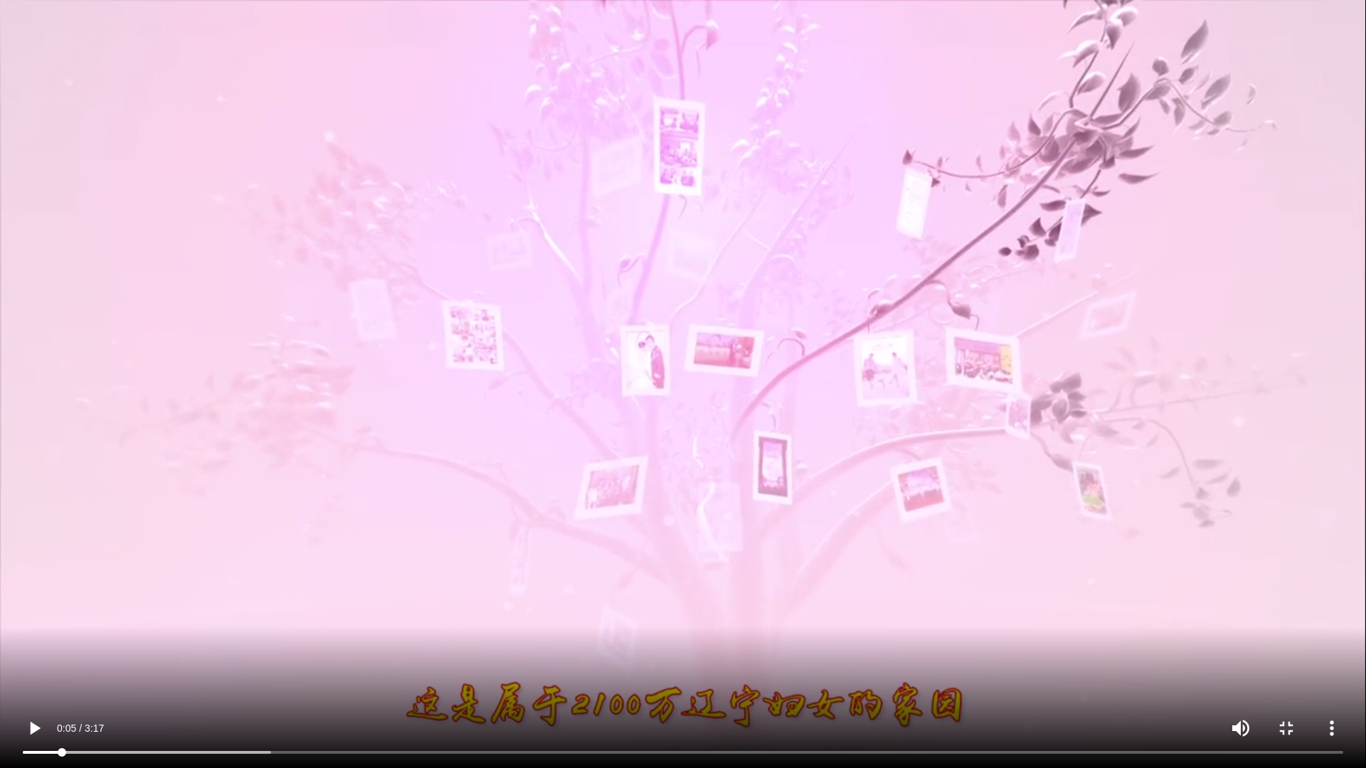 【红色记忆】传承红色基因 宣讲辽沈故事_作品展播第三季(二十)吉庆小学施禹妃_段苏权